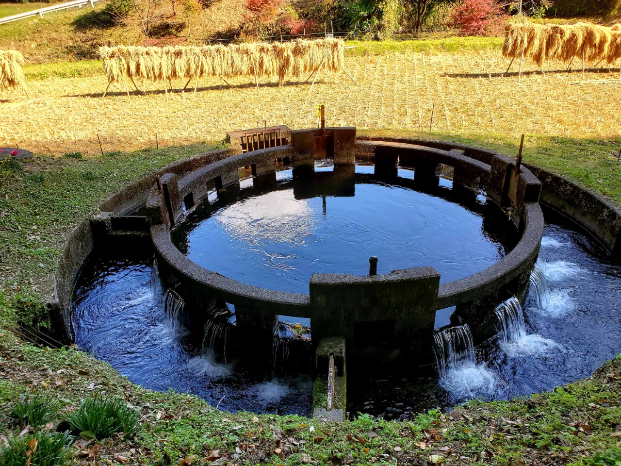 音無井路円形分水の写真